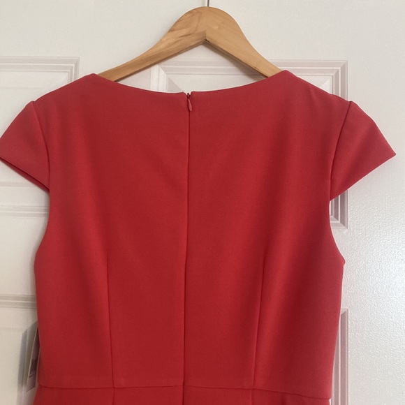 Apricot - Picture 5 of 8